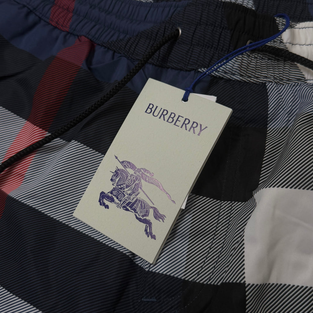 Burberry Blue Check Swimming Shorts - Medium