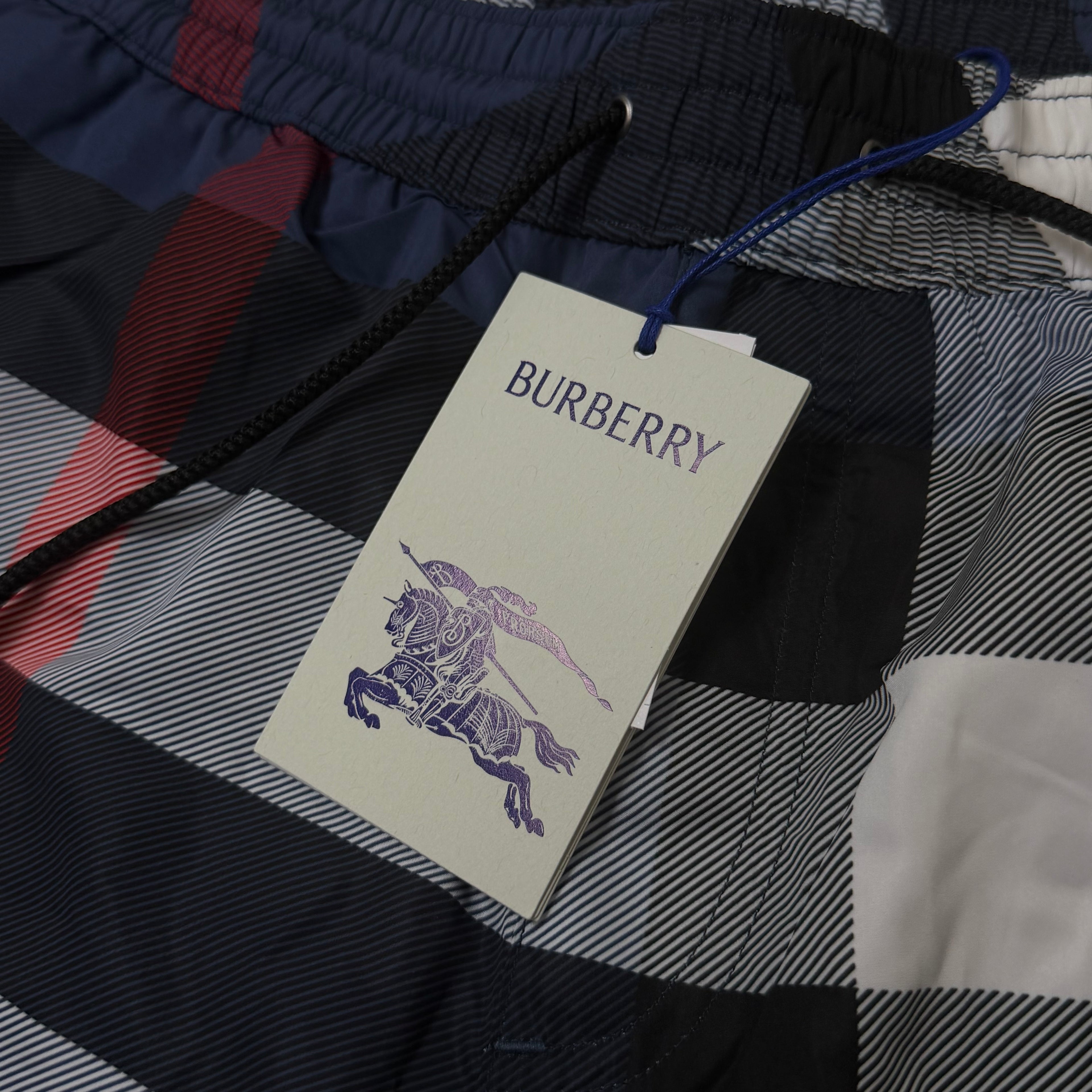 Burberry Blue Check Swimming Shorts - Medium